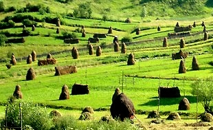 La Roumanie rurale