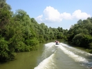 Delta du Danube