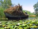 Delta du Danube