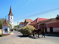 rue principale Sibiel