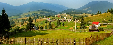 Tihuta